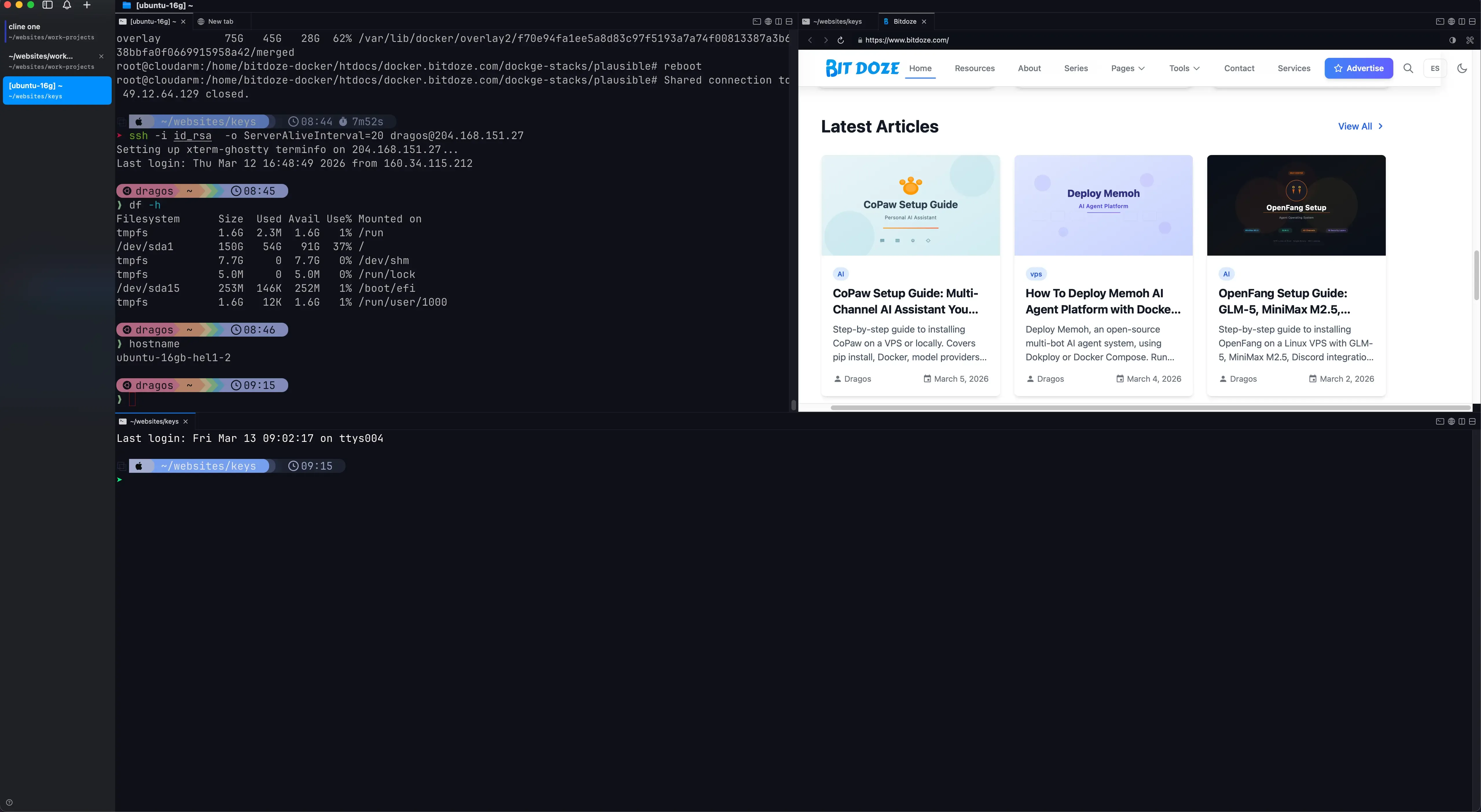 CMUX terminal