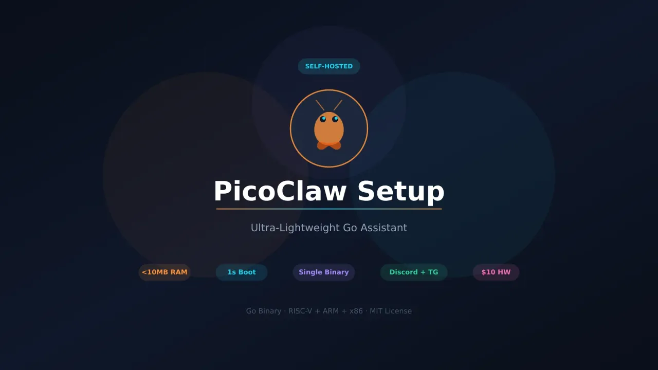 PicoClaw Setup Guide: Go Binary AI Assistant on $10 Hardware