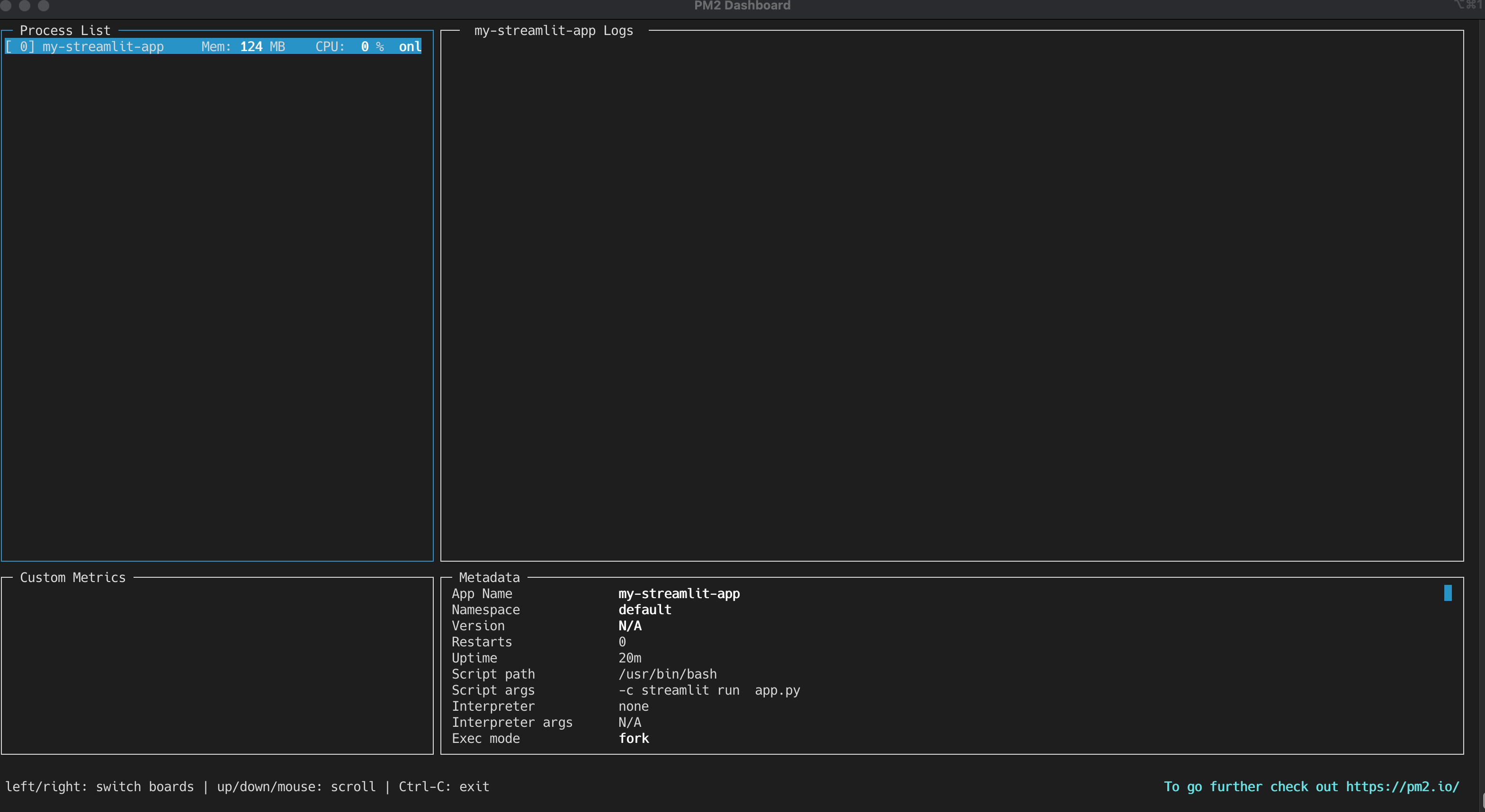 PM2 process manager terminal dashboard showing CPU, memory, and process metrics