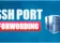 How To Do SSH Port Forwarding (SSH Tunneling) in Linux